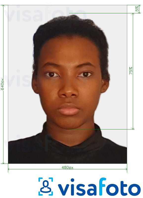 Contoh foto untuk Pasport Bahama 480x640 piksel dengan spesifikasi saiz yang tepat.