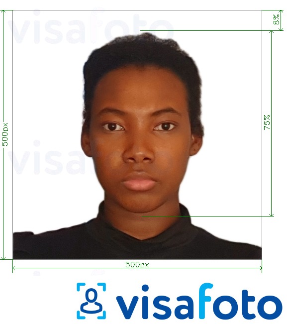 Contoh foto untuk Kamerun visa dalam talian 500x500 px dengan spesifikasi saiz yang tepat.