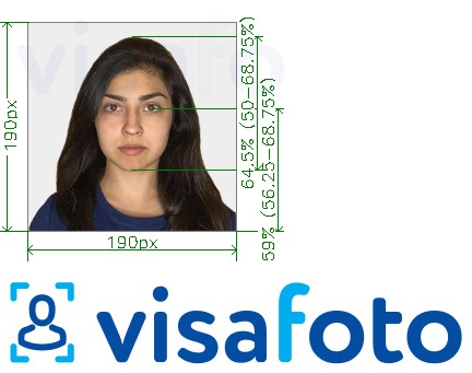 Contoh foto untuk India Visa 190x190 px melalui VFSglobal.com dengan spesifikasi saiz yang tepat.