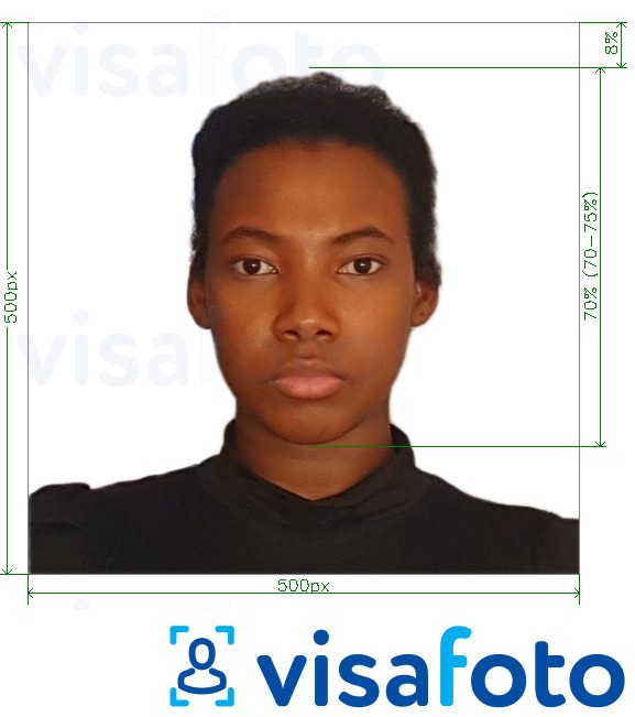 Contoh foto untuk Kenya e-visa dalam talian 500x500 piksel dengan spesifikasi saiz yang tepat.