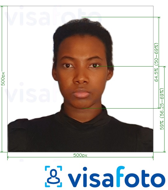 Contoh foto untuk Rwanda Afrika Timur Visa Pelancong dalam talian dengan spesifikasi saiz yang tepat.