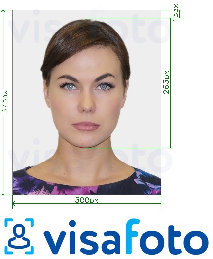 Contoh foto untuk Kad American University One Card 300x375 piksel dengan spesifikasi saiz yang tepat.